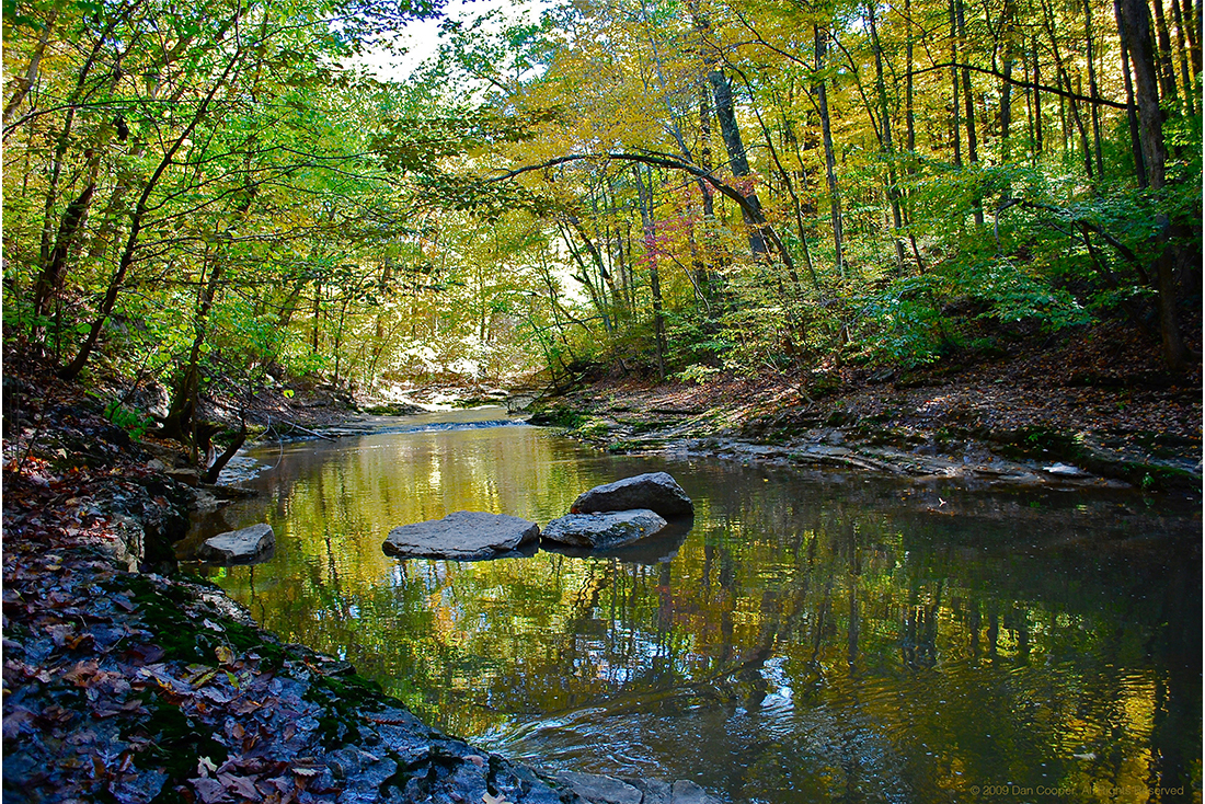 Autumn Stream